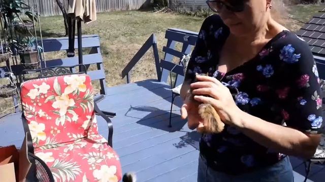 Маленькая жертва большого урагана, часть2. смотреть онлайн