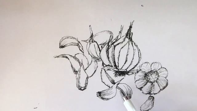 How to draw Garlic with ballpen for beginner| hand exercise | timelapse drawing смотреть онлайн