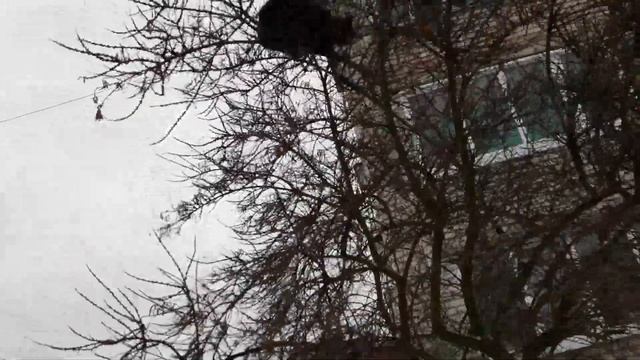 Весна 2к19 или грачи прилетели весной 2019 года)) смотреть онлайн