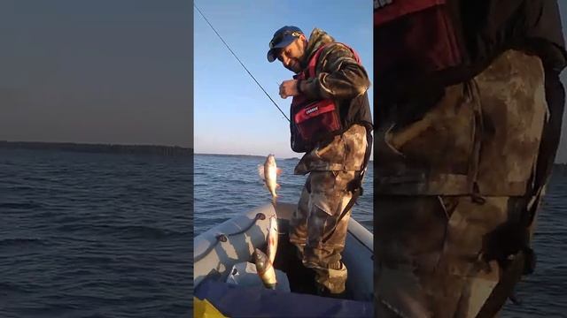 Рыбалка на Обском водохранилище