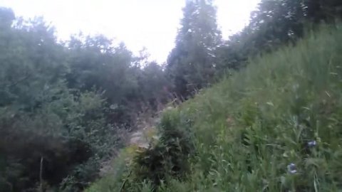 Земляника 2021 год 10мая Владимирская область