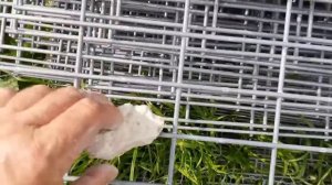 Мраморный забор? Легко! Фракция 40-70 для забора из габионов