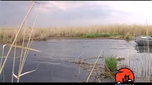 ловля крупного карася с лодки на поплавочную удочку в камыше