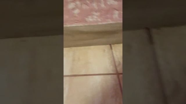 Пароочистетель silver crest смотреть онлайн