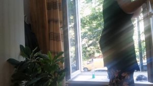 Как помыть окно правильно! #лето2020 #окно