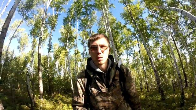 В поисках березового капа смотреть онлайн