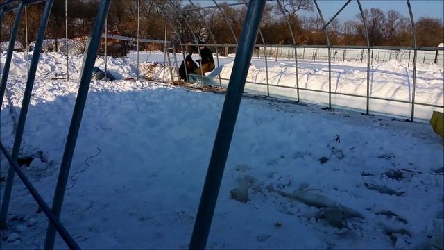 Строительство фермерской теплицы на даче