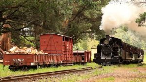 Puffing Billy Railway - 8A rolls through Clematis