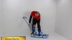 Санки Тимка 5 Юниор Комфорт с колесиками и перекидной ручкой