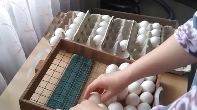 ОПЛОД ЯЙЦА ИЗ ХОЛОДИЛЬНИКА...EI AUS DEM KÜHLSCHRANK смотреть онлайн