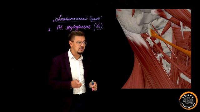 SmartLearn: Вячеслав Варенцов  "Анатомический букет"