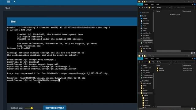 Export FreeNAS Jail Config to USB смотреть онлайн