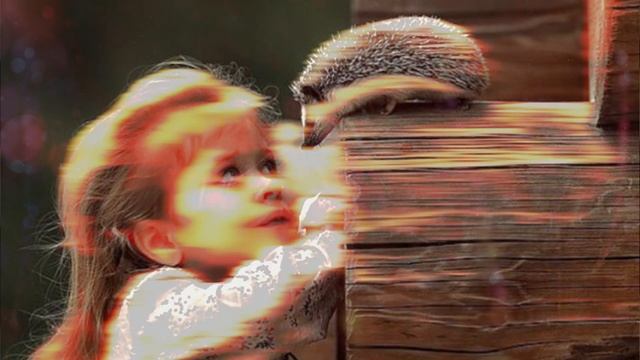 Как научиться доверять миру?