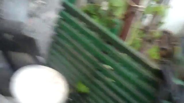 Играем с щенком смотреть онлайн