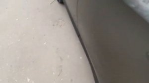 Рав 4 дизель 2013 год