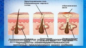Черные точки на животе у собаки