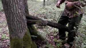 ЦЕПНАЯ КАРМАННАЯ ПИЛА - испытания в лесу