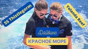 Дайвинг Красное море ️ Тистлегорм и Иоланда риф