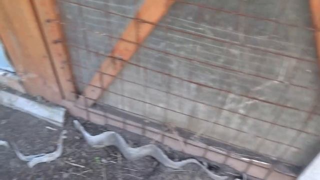 Вольер для кроликов, обзор через месяц смотреть онлайн