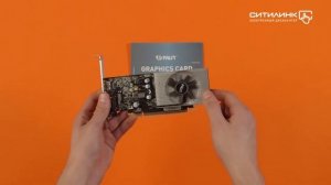 Обзор видеокарты PALIT nVidia GeForce GT 1030 | Ситилинк
