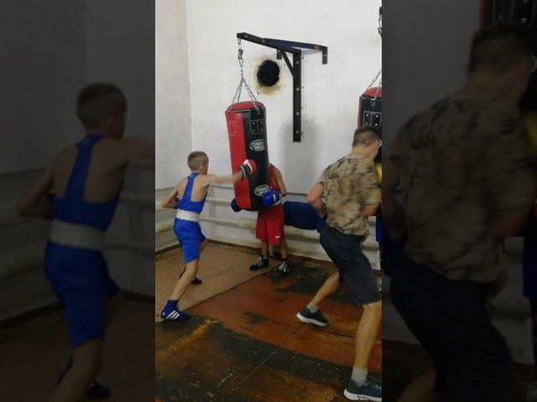 #shorts #бокс