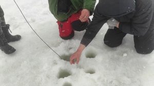 РЫБАЛКА МАРШРУТ ОЗ. СИЛИКАТНОЕ ЗКПД - ОЗЕРО ЛУНСКОЕ СОРМОВО! ГДЕ ЛУЧШЕ КЛЮЕТ? ГДЕ КРУПНЕЕ РЫБА?