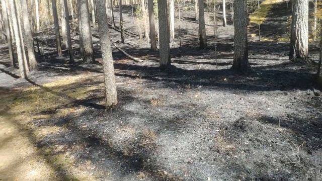 Харламовское озеро смотреть онлайн