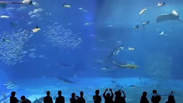 О тайне создания человечества Цифровой атлас Григория Грабового