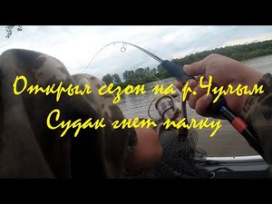 Открытие сезона на р.Чулым. Судак гнет палку