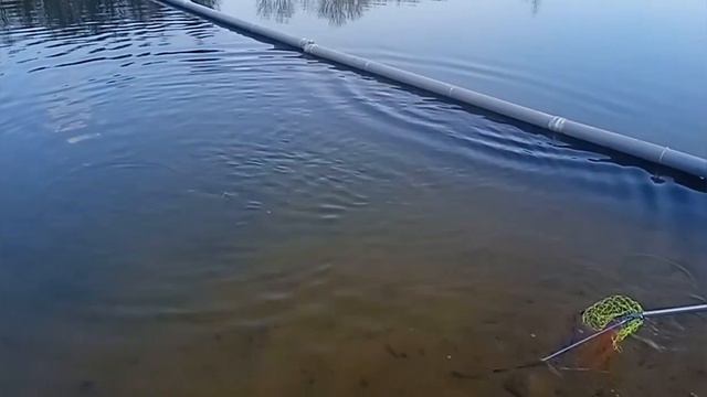 СРБ ПАРУС-СЕВЕР - ВИП смотреть онлайн