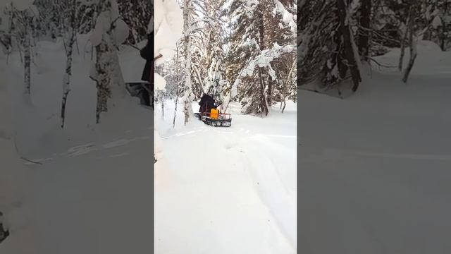 Толкач бурлак м экспедитор в лесу. смотреть онлайн