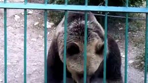 Геленджик. Сафари парк.