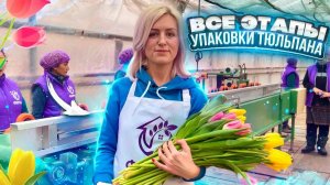 Все этапы упаковки тюльпана