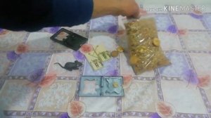 КАК ПРАВИЛЬНО УСТАНОВИТЬ МЫШЕЛОВКУ 2019