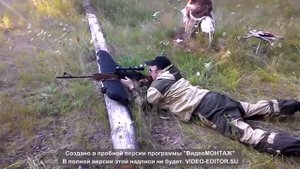 Пристрелка карабина Вепрь 7,62 х 54 на 100 метров оптика Бушнел 3 х 9