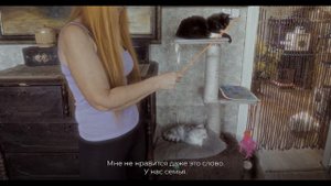 Кошкин дом: Курянка приютила 70 бездомных кошек