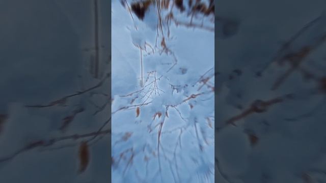 прогулка на Калиненские водопады (Приморский край)