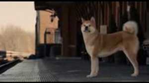 Хатико Самый верный друг