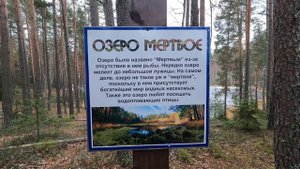 Смоленское поозерье. Мёртвое озеро. Осень