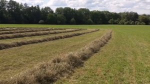 Заготовка сена. Сенокос. Все этапы. Пресс dautz-fahr