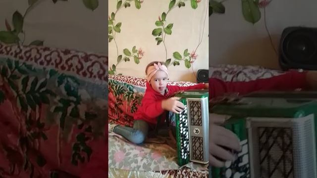 Я в деревне!! Играю на баяне!!