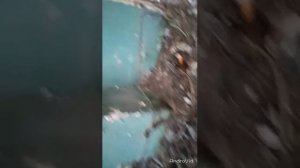 Один пошол на завод