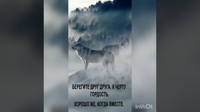 ОДИНОКИЙ ВОЛК!