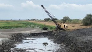 Очистка рыбасборника пруда Драглайном ЭО-4112