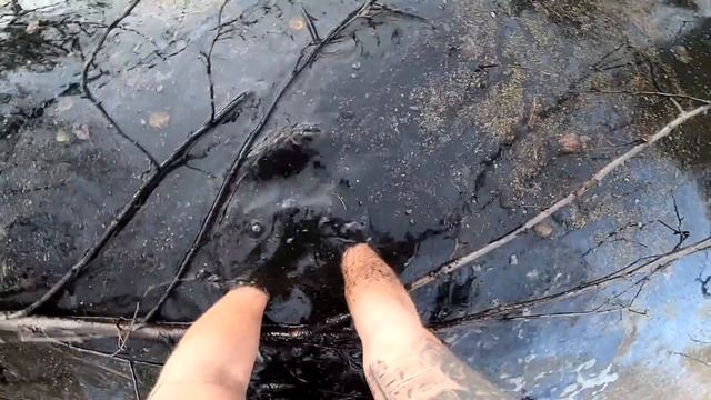 ЛОВИМ РЫБУ РУКАМИ В БОЛОТЕ С ВИТАЛИК ИГНАТЮК! / Виталий Зеленый