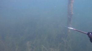 Деревня Цернское. Дайвинг в Подмосковье.