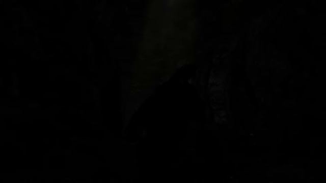 My Skyrim Special Edition Character + Gameplay смотреть онлайн