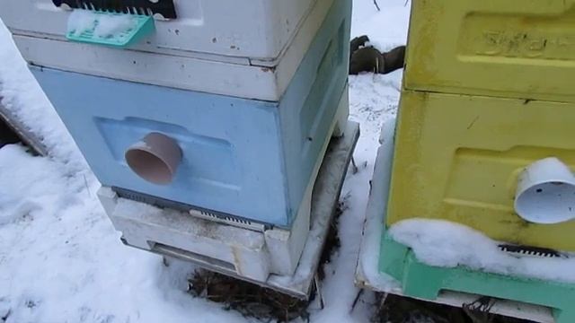 ответы на вопросы - клуб пчел собрался на зиму у задней стенки, почему и что делать.