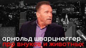 Арнольд Шварцнеггер про своих внуков и животных, перевод и субтитры.