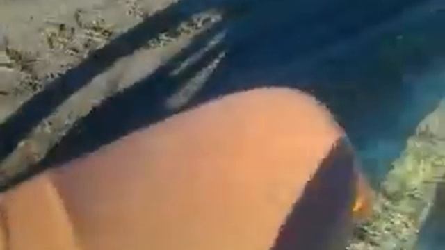 Мотоцикл Чезет, продаётся. Саратовская область - посёлок Турки смотреть онлайн